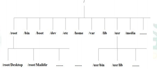 image-20210313133827488