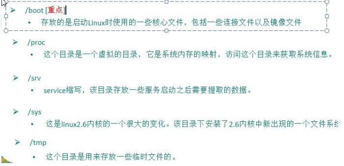 image-20210313134026240